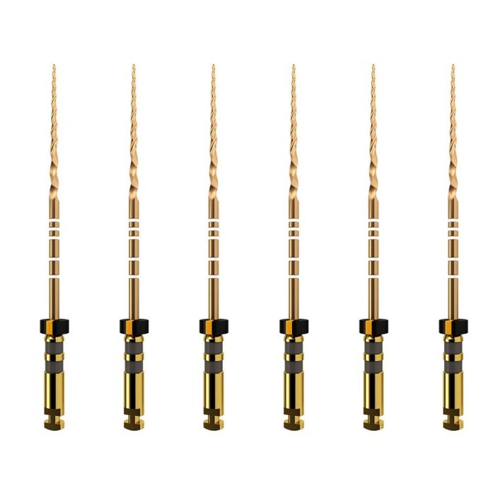 Dentsply ProTaper Gold (6 Files) | DentaCarts | Dental Cart