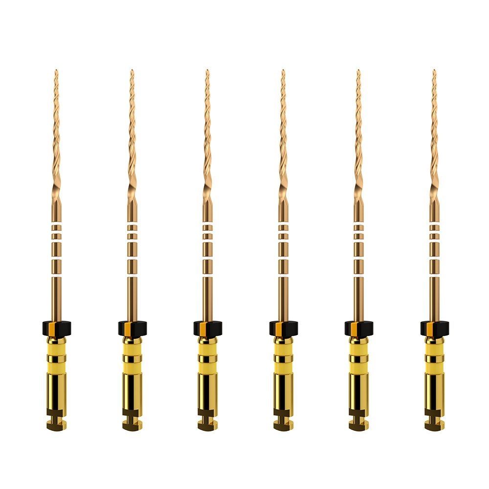 Dentsply ProTaper Gold (6 Files) | DentaCarts | Dental Cart