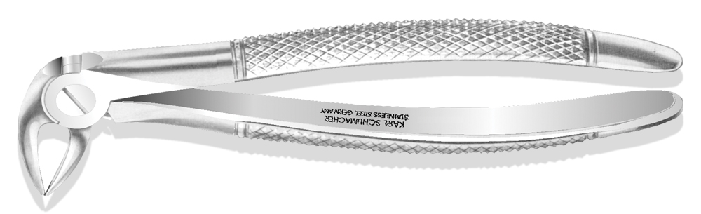 Lower Anterior Forceps #33 | DentaCarts | Dental Cart