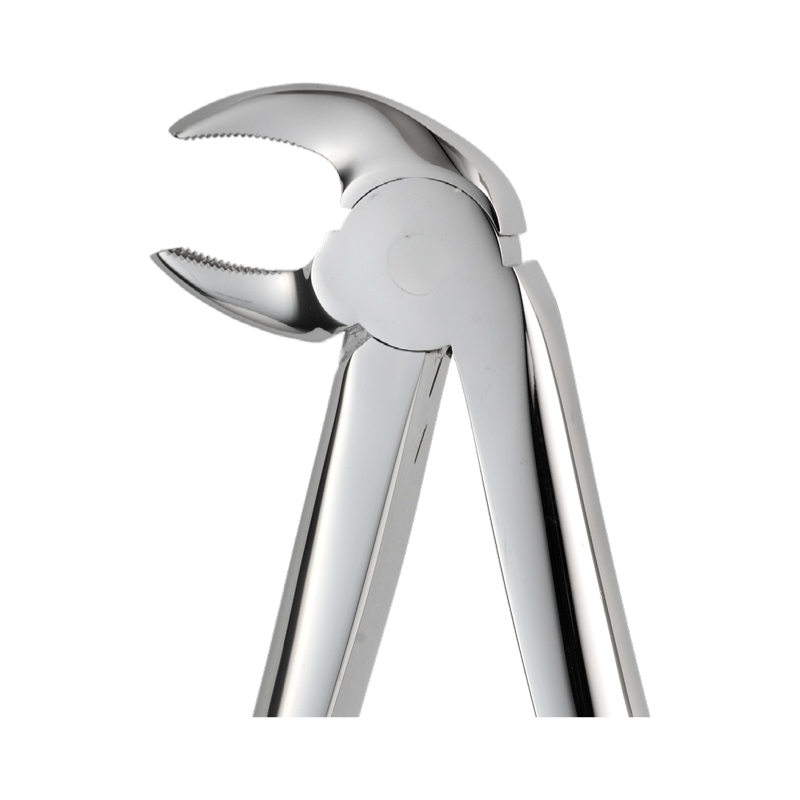 Lower Premolar Forceps #13 | DentaCarts | Dental Cart