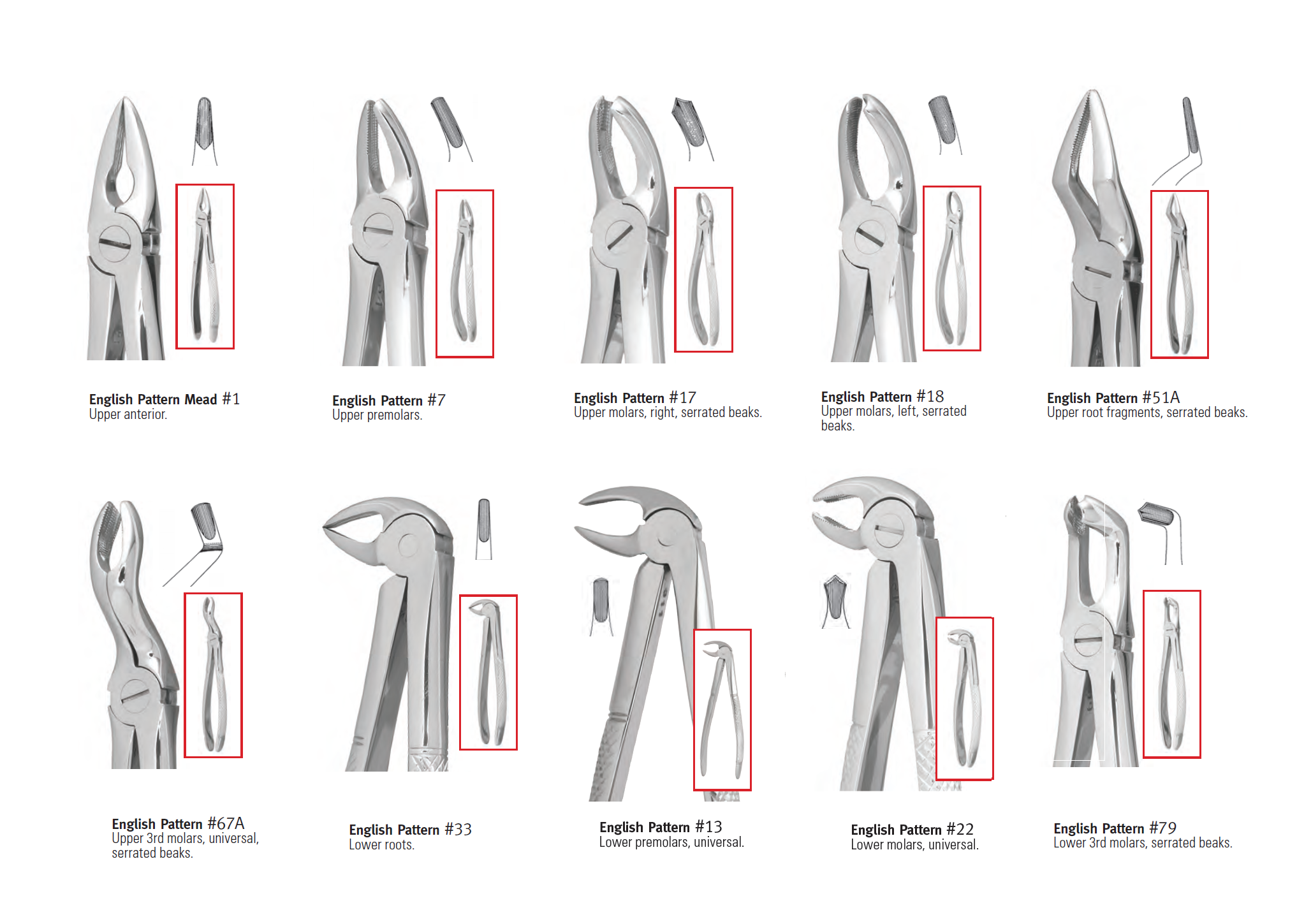 Pakistan Extraction Forceps | DentaCarts | Dental Cart