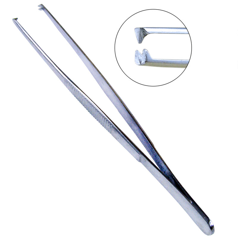Pakistani Tissue Forceps | DentaCarts | Dental Cart
