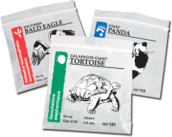 Elastics Wild Life - American Orthodontics | DentaCarts | Dental Cart