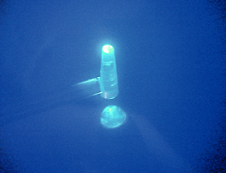 SEDRADENT Fotoplus Composite Condenser | DentaCarts | Dental Cart