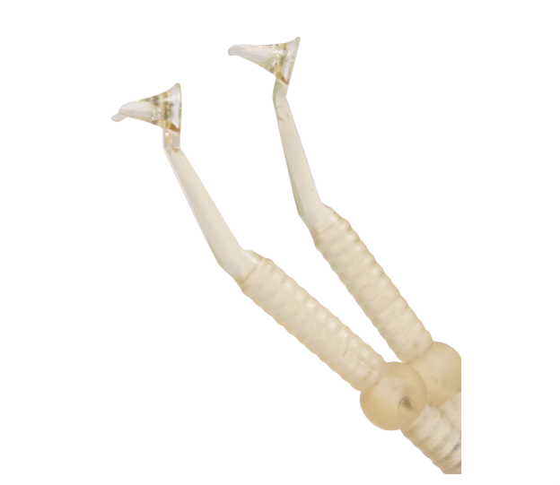 SEDRADENT Contact + Gold | DentaCarts | Dental Cart