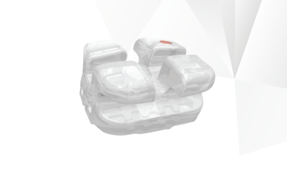 Matt Ortho Clarity Kit With CUS/BI Hook | DentaCarts | Dental Cart