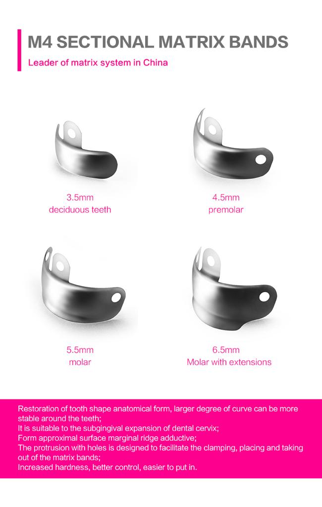 ZT-Dental Sectional Matrix kit | DentaCarts | Dental Cart