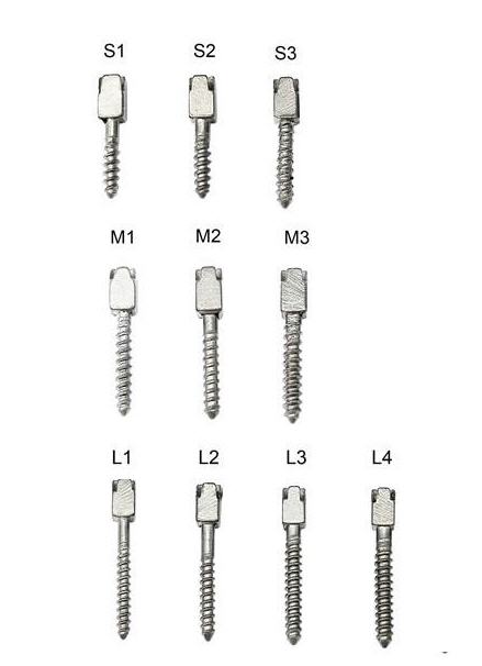 China Metal Screw Post (20pcs) | DentaCarts | Dental Cart