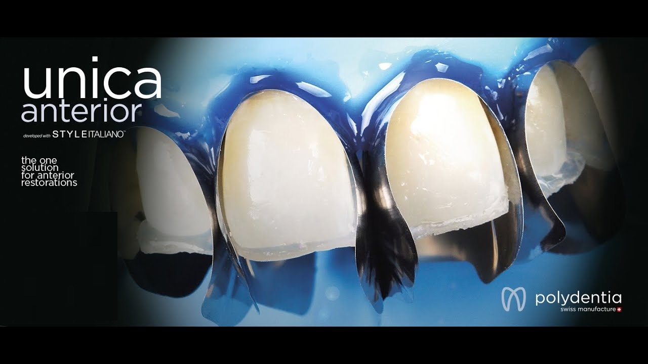 Polydentia Unica anterior Matrices 1pc | DentaCarts | Dental Cart