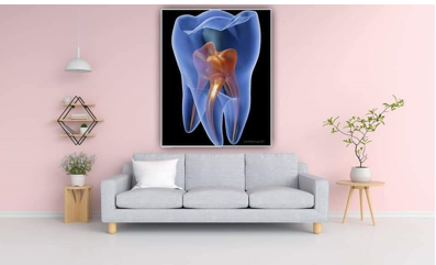 Pedo tableau high quality pdf leather salvation dust proof | DentaCarts | Dental Cart