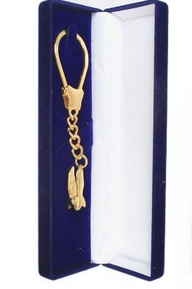 Stereoscopic molar medal...gold and silver paint. | DentaCarts | Dental Cart