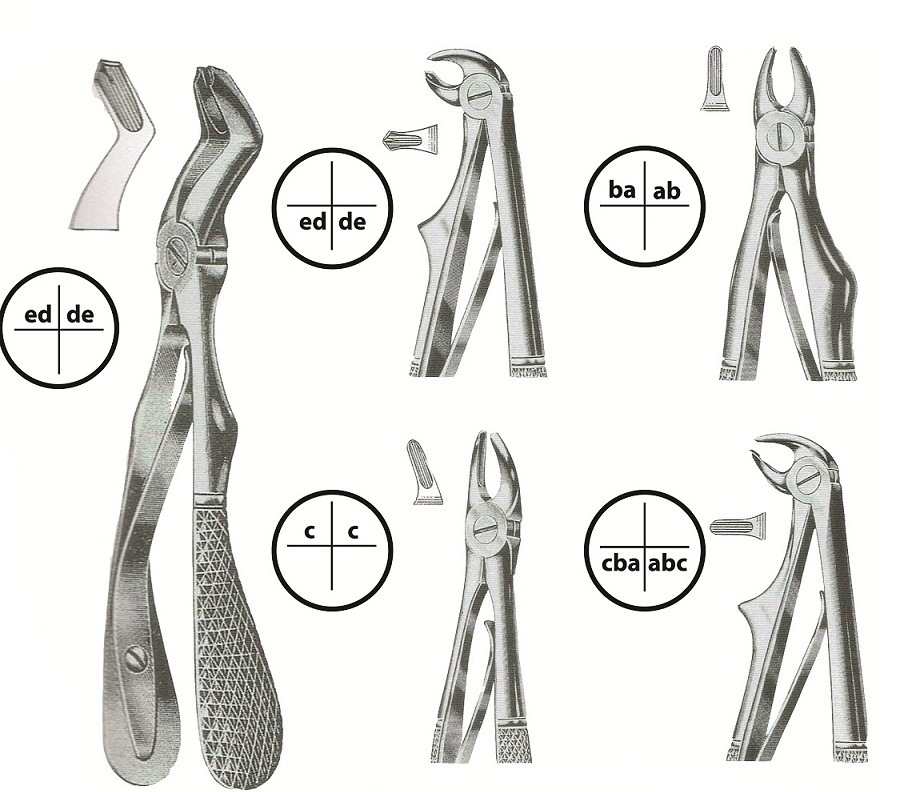 Pakistan Extraction Forceps Kit Pedo (5pcs) | DentaCarts | Dental Cart