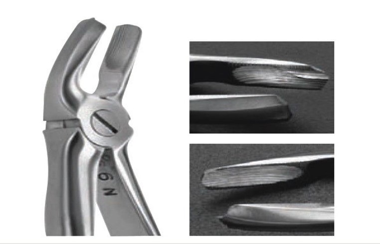 Forceps Upper molars | DentaCarts | Dental Cart
