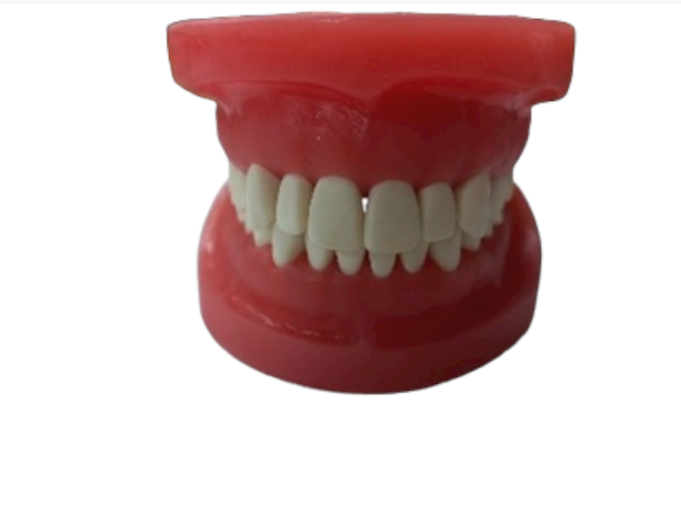 Top Model Cast | DentaCarts | Dental Cart