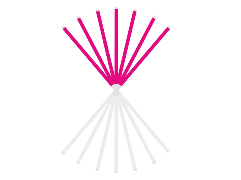 President Dental Zenit Flex Strips 50pcs | DentaCarts | Dental Cart