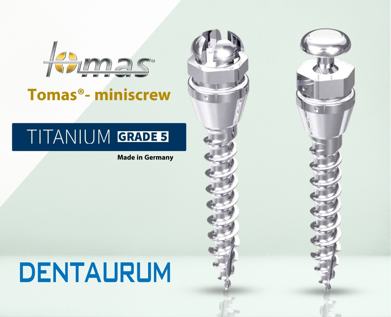 Dentaurum Tomas-pin Mini screw | DentaCarts | Dental Cart