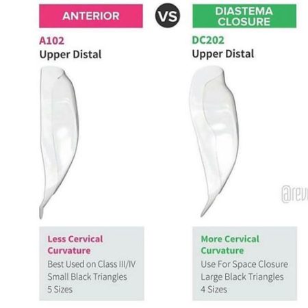 Bioclear Diastema Closure Matrix | DentaCarts | Dental Cart