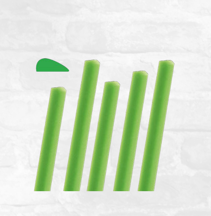 Yeti CONSEQUENT lower jaw bars  4x2mm | DentaCarts | Dental Cart