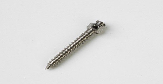 MINI SCREW TITANIUM | DentaCarts | Dental Cart