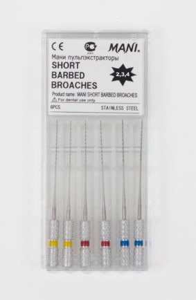 Mani NERVE BROCHES 21MM #2-4 | DentaCarts | Dental Cart