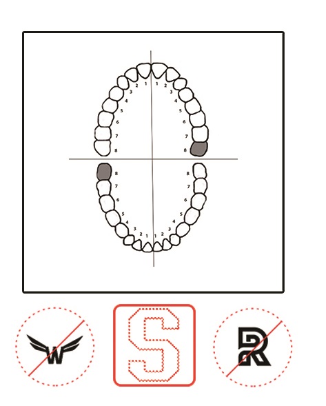 Dentech KSK clamp No. 139 | DentaCarts | Dental Cart
