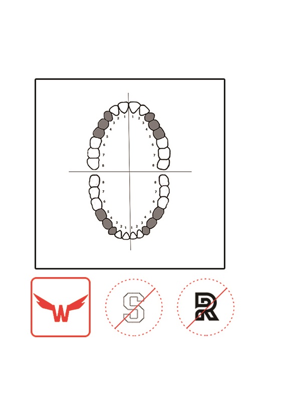 Dentech KSK clamp No. 1 | DentaCarts | Dental Cart