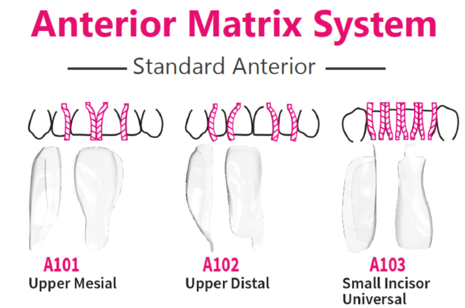 Bioclear Anterior Matrix Systems | DentaCarts | Dental Cart