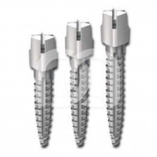 ITENA  Titanium Cylindro-Conical Posts | DentaCarts | Dental Cart