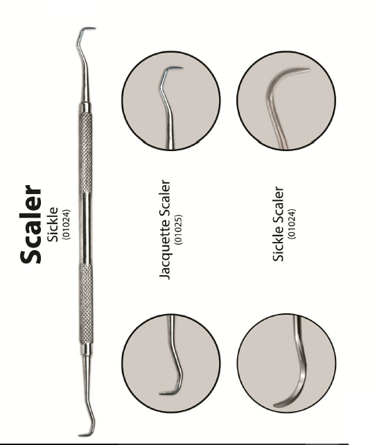 Pakistani Scaler | DentaCarts | Dental Cart