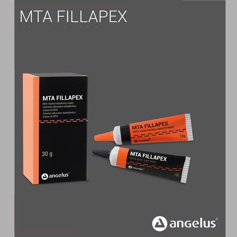 Angelus MTA Fillapex Handmix | DentaCarts | Dental Cart