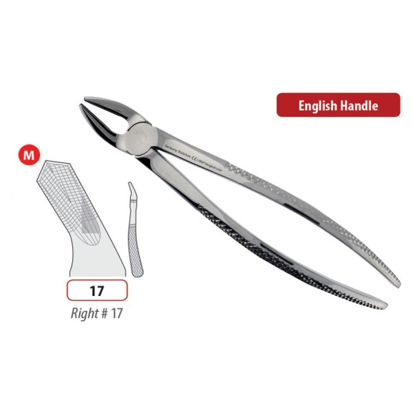 GC-America Fuji II LC | DentaCarts | Dental Cart