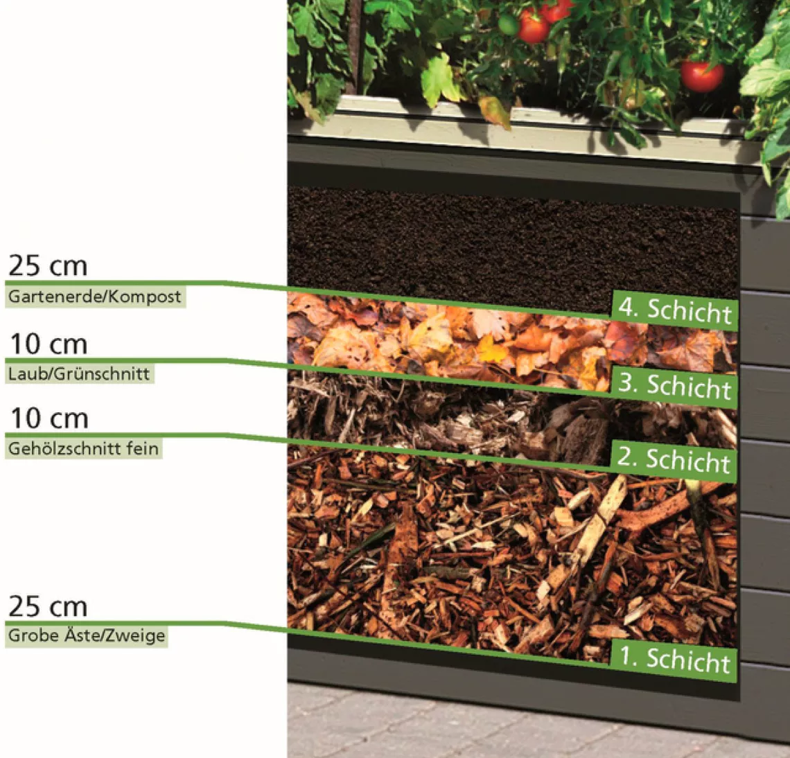 Hochbeet anlegen  Anleitung und Tipps | BAUR