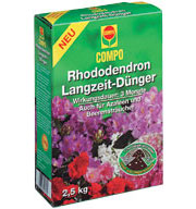 Rhododendren