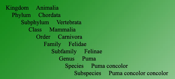 Classification Example