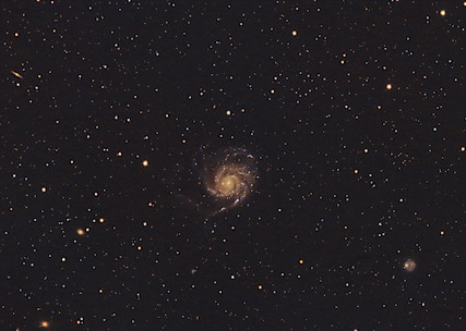 M101 après la supernovae Picture-17d2b051b5ccd473fc3c4e46913b9203-thumbnail-427x304