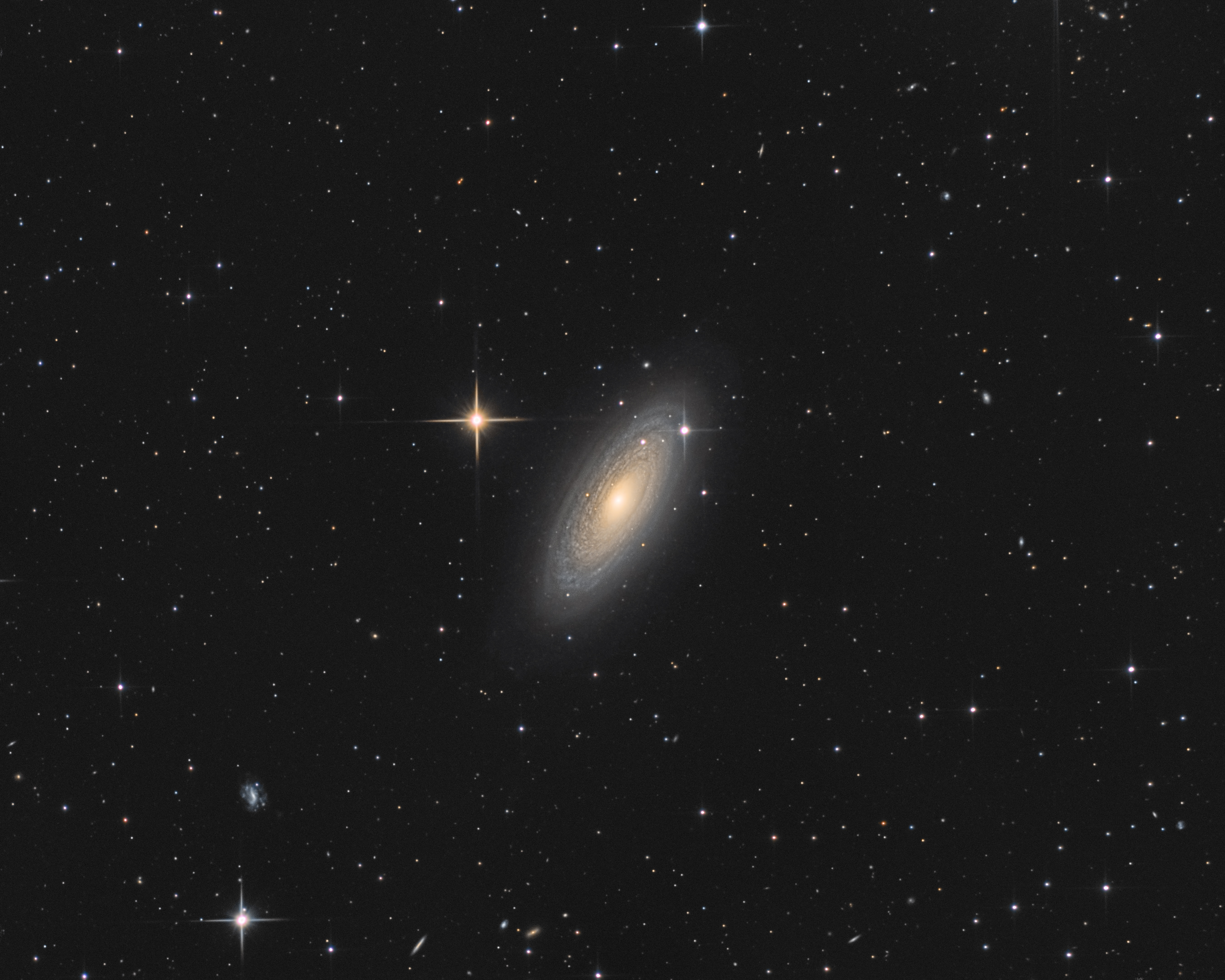 NGC2841 Picture-8fd24604f0618cc62454cc3ff370104b-original