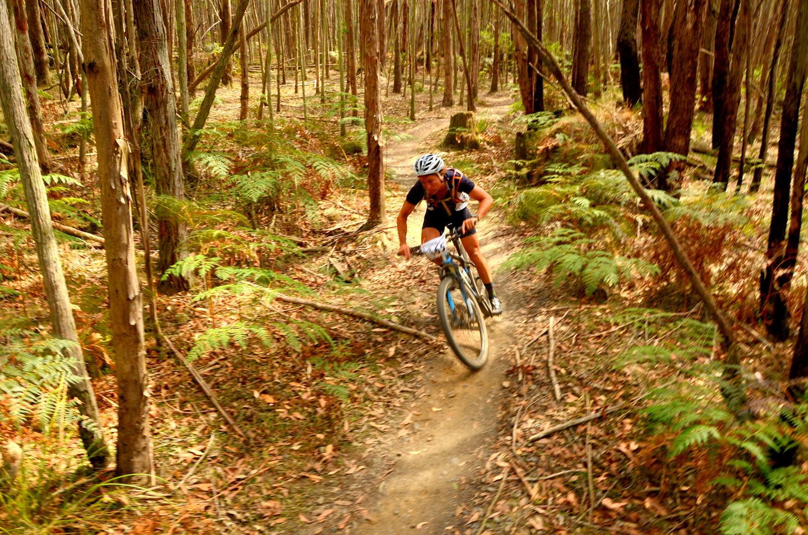 mountain biking tracks near me