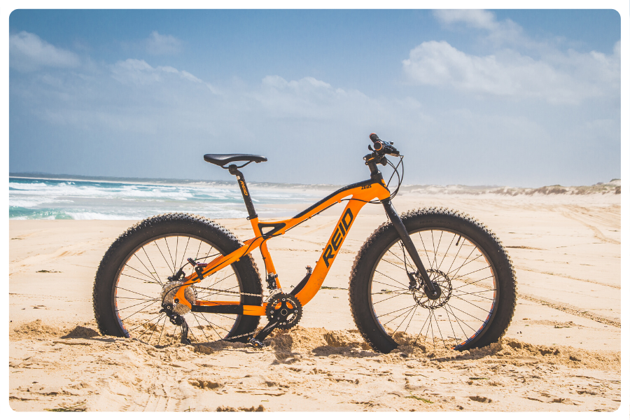 zeus fat bike