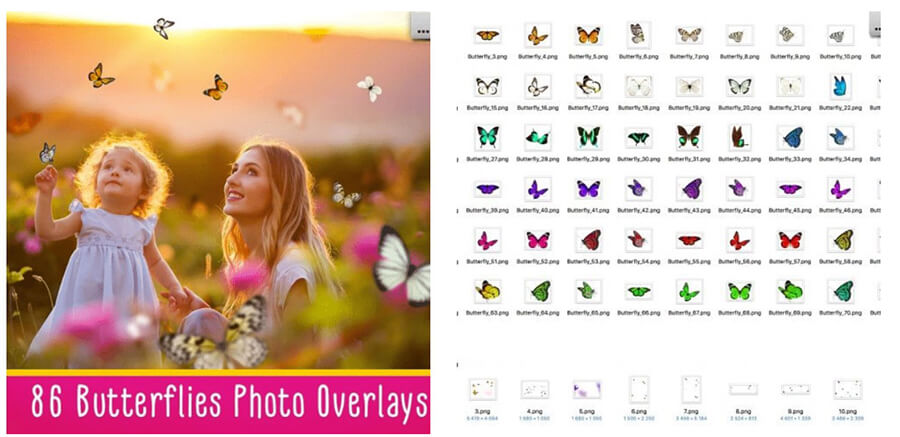 Butterflies Photo Overlays