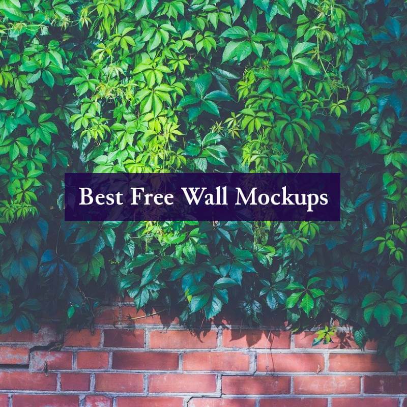 Download 19 Best Free Wall Mockups Digital Template Market