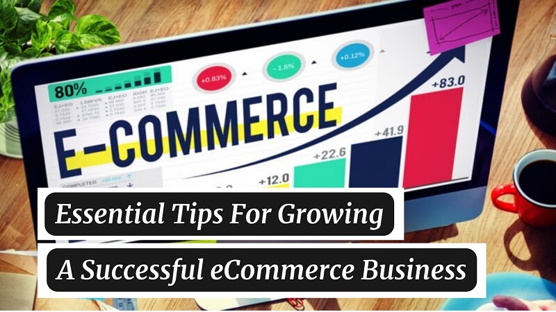 how to grow eCommerce business