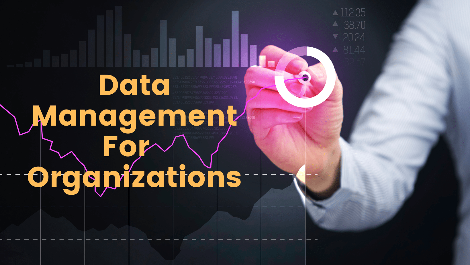 Data Management For Contemporary Organizations