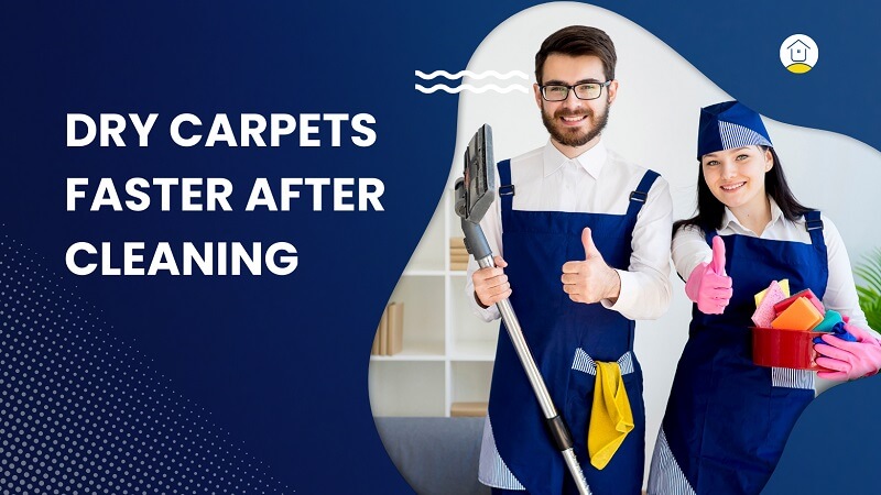 Dry Carpets Faster After Cleaning