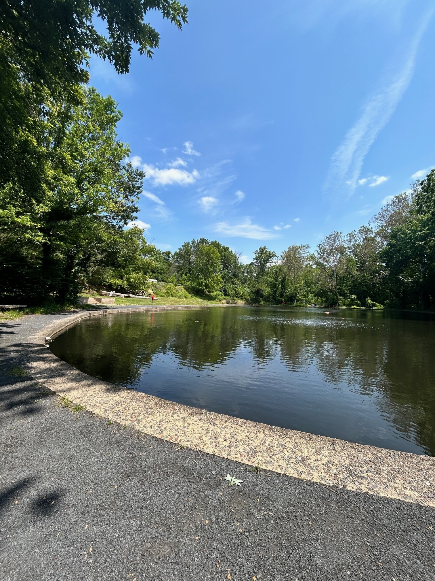 Chapman borough dam