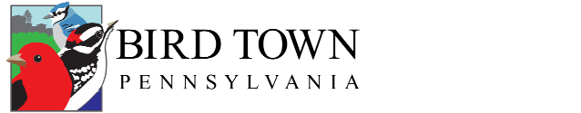 Bird town logo 638x125 1