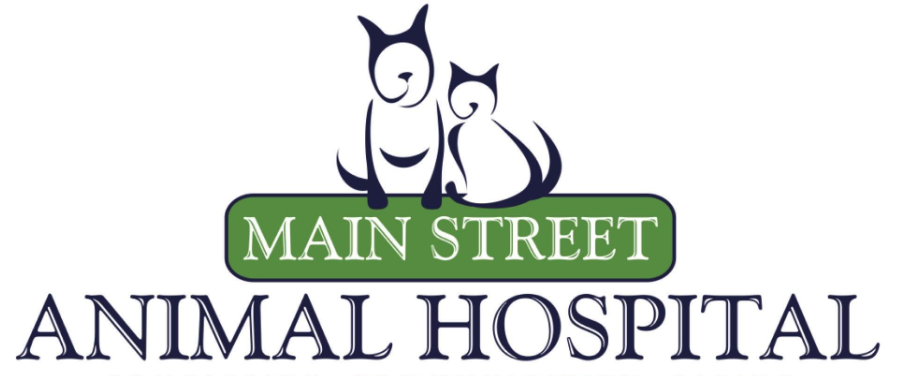 Main street animal