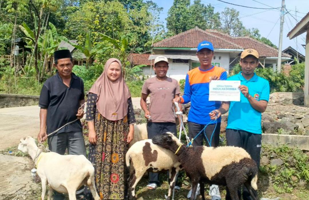 Harapan Baru di Tahun Baru, DT Peduli Tasikmalaya Gulirkan Program Indukan Domba untuk Warga Ciatal