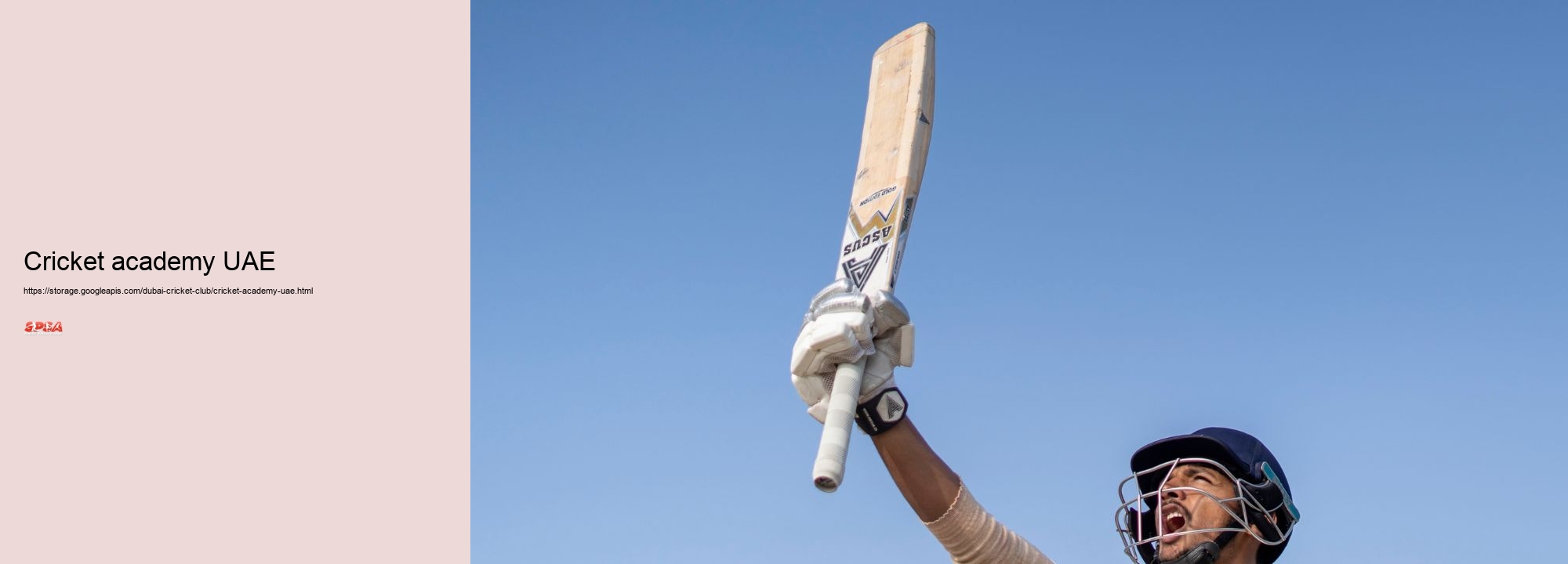 cricket academy UAE