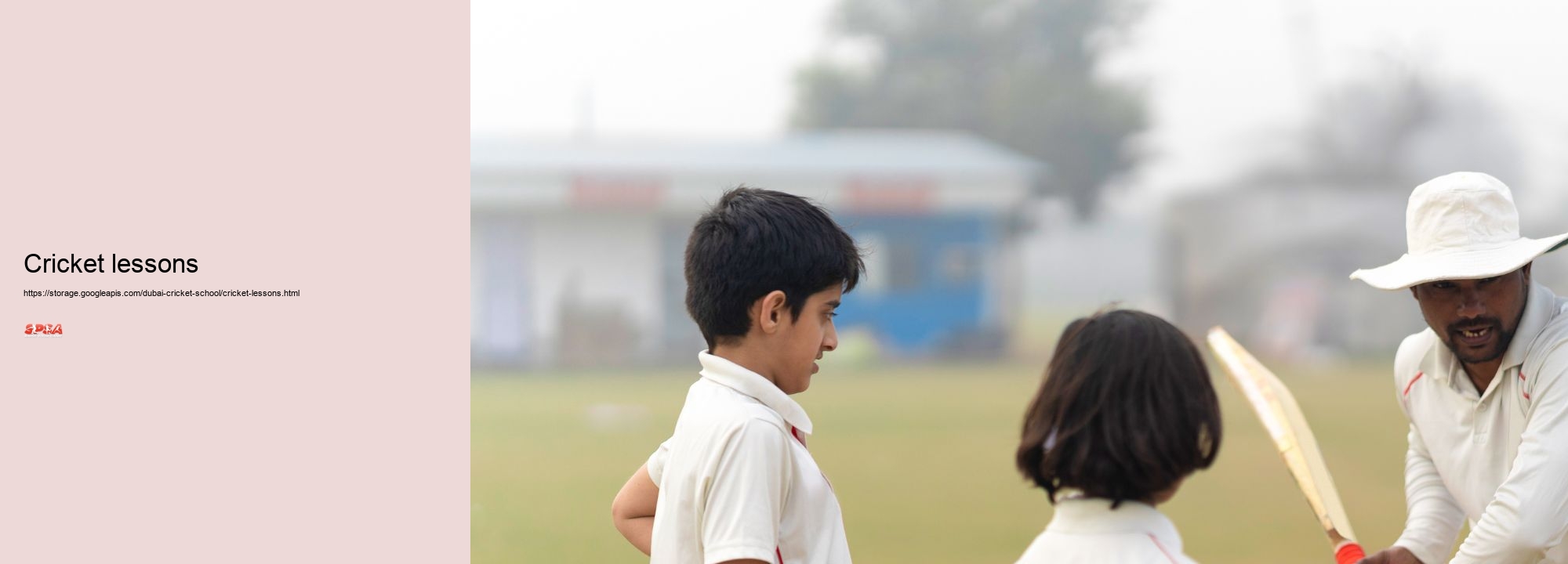 cricket lessons