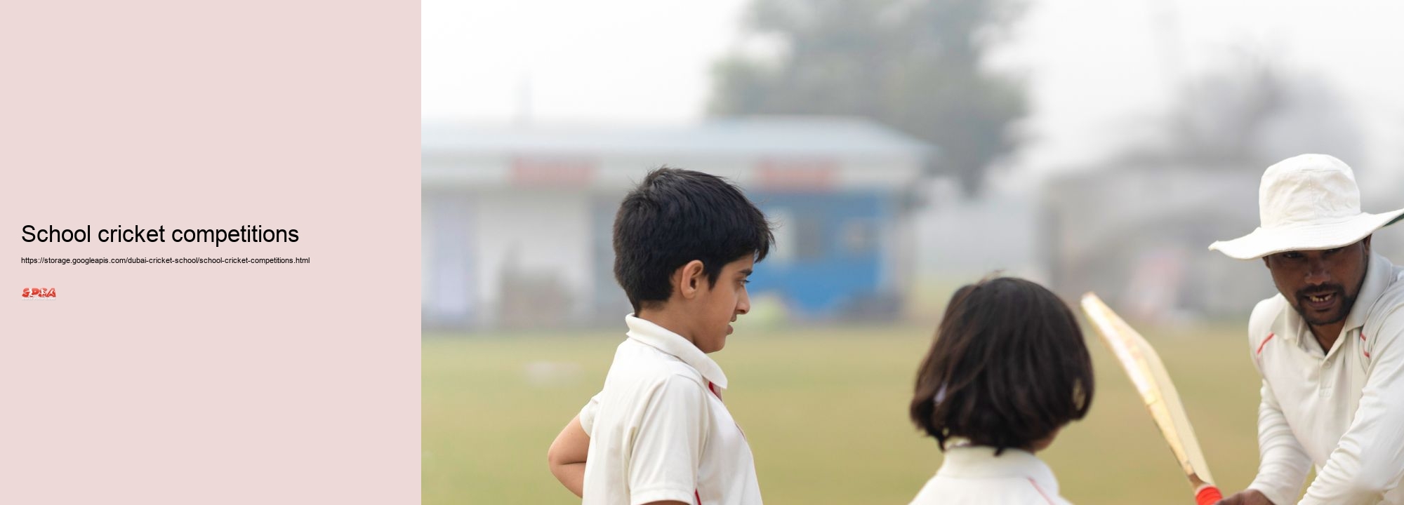 school cricket competitions